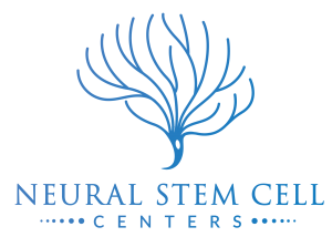 Neural Stem Cell Centers